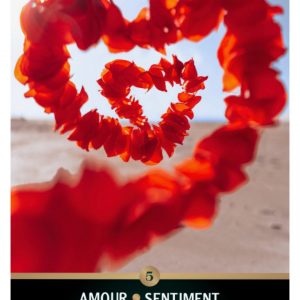 Oracle Secret D'Émeraude 60 cartes intuitives, jeu tous domaines, facile d’utilisation 24,90€+ 5€ Fdp inclus = 29,90€