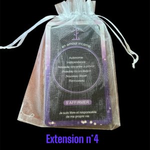 Extension n*4 : 13 cartes pour l’Améthyste Love Oracle , cartes de 89 a 101 en français + 1 carte explicative  / Fdp inclus
